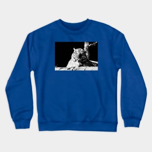 Year of the tiger 2022 - 3 Crewneck Sweatshirt